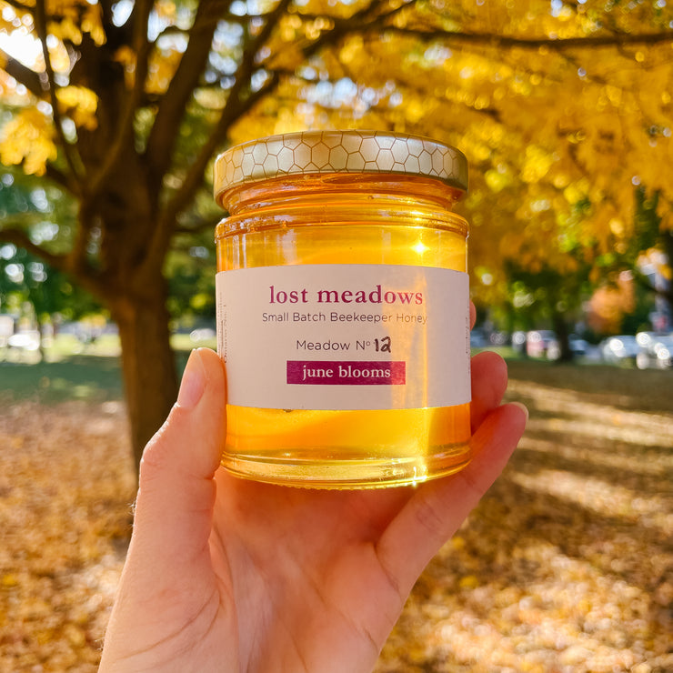 June Blooms, Ontario small batch golden liquid honey from Beekeeper Graeme Foers of Lost Meadows in Egbert, Ontario - Graeme produces some of the most amazing small-batch honey. Raw & unpasteurized.